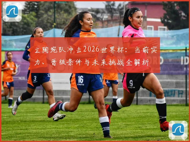 立陶宛队冲击2026世界杯：当前实力、晋级条件与未来挑战全解析