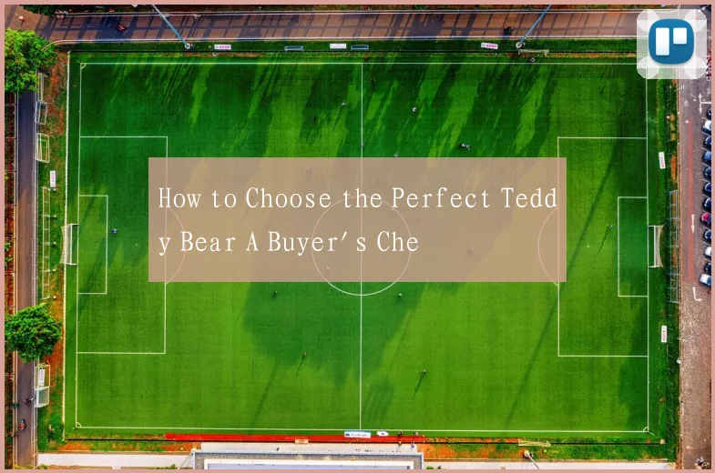 How to Choose the Perfect Teddy Bear A Buyer's Che