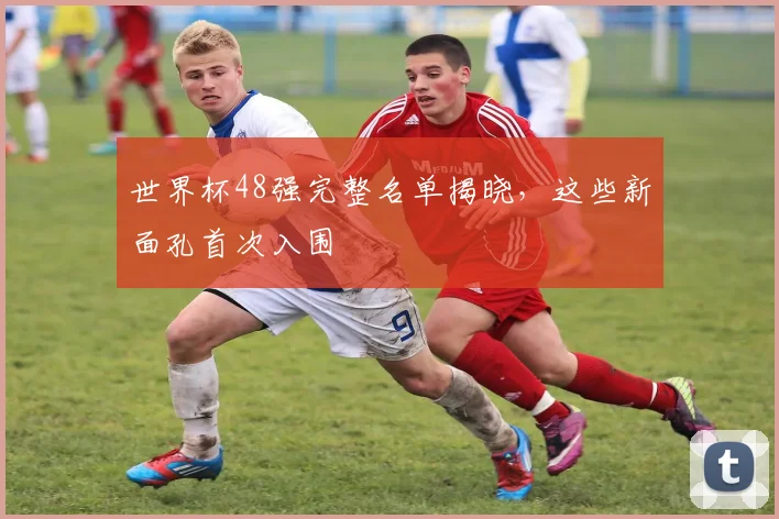 世界杯48强完整名单揭晓，这些新面孔首次入围