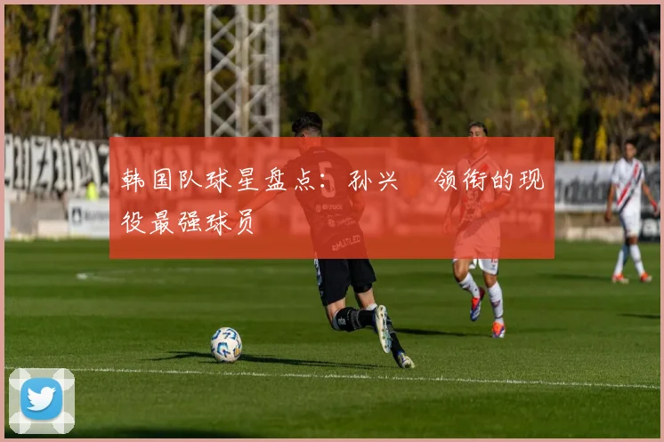 韩国队球星盘点：孙兴慜领衔的现役最强球员